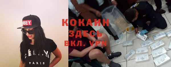 СК Алзамай