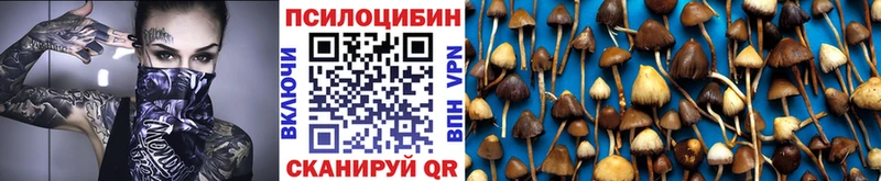 Псилоцибиновые грибы Cubensis наркошоп Хотьково